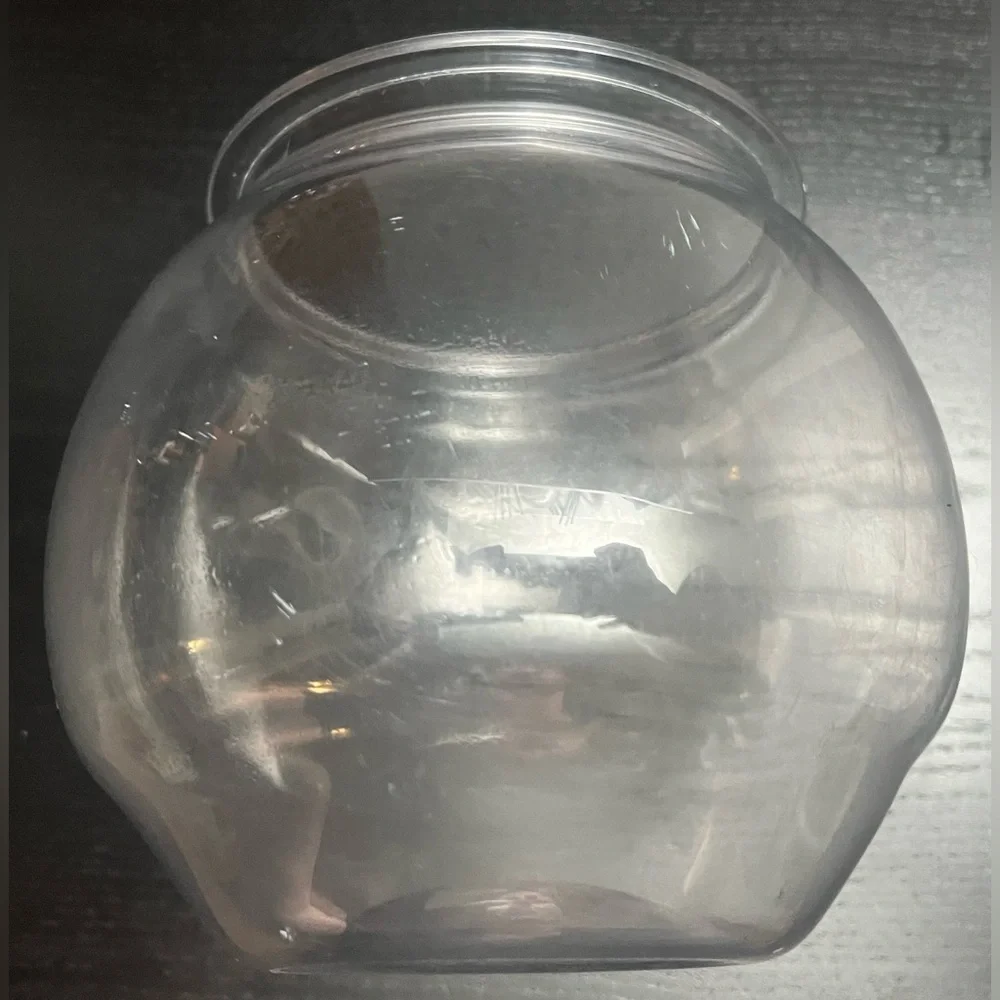 Fish Bowl - Picture 2 of 2